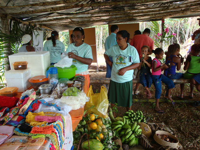 2 – Experiências Agroecológicas no Baixo Sul da Bahia