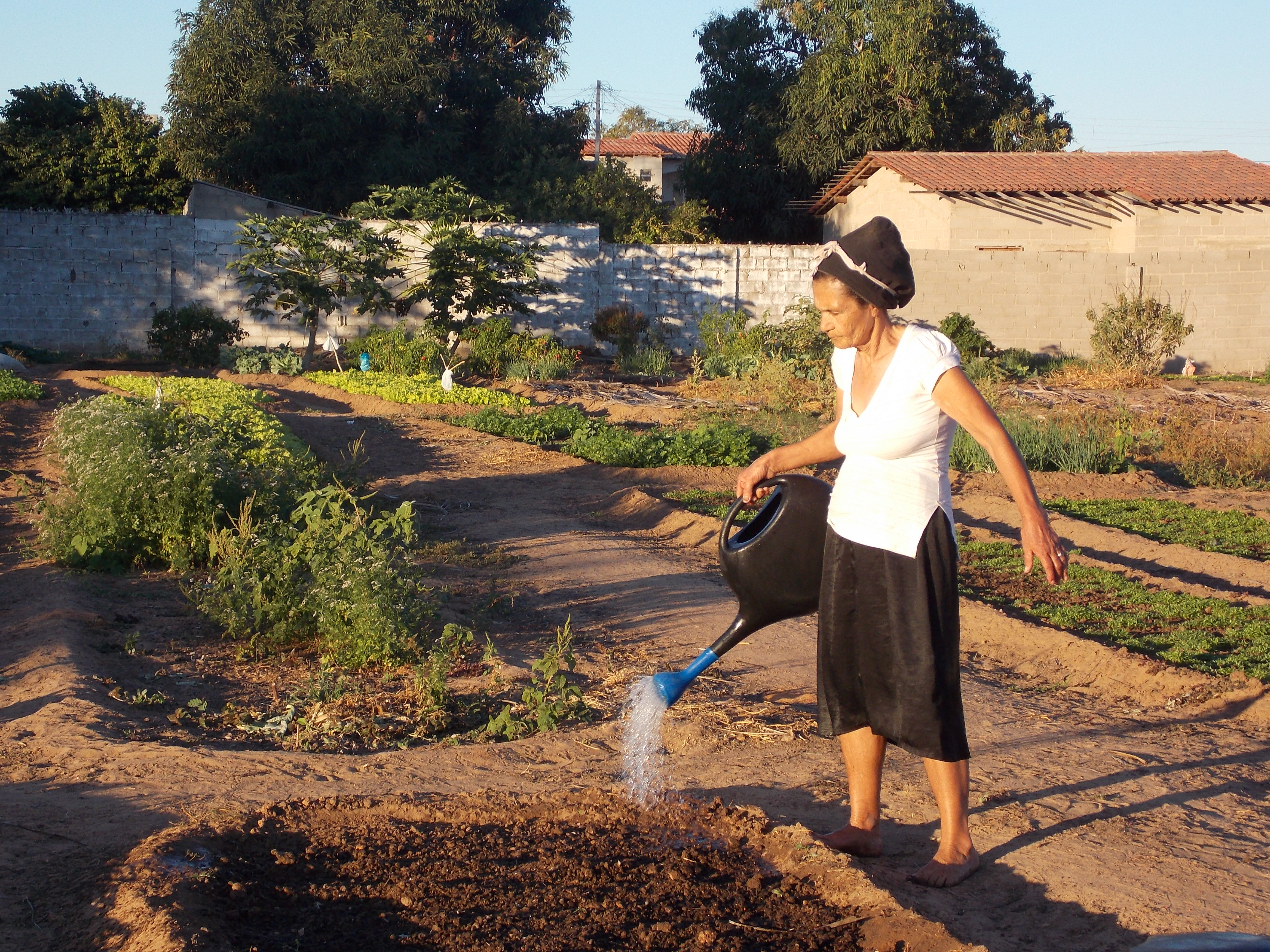 Dona Marilena é umas agricultoras urbanas apoiadas pelo SASOP