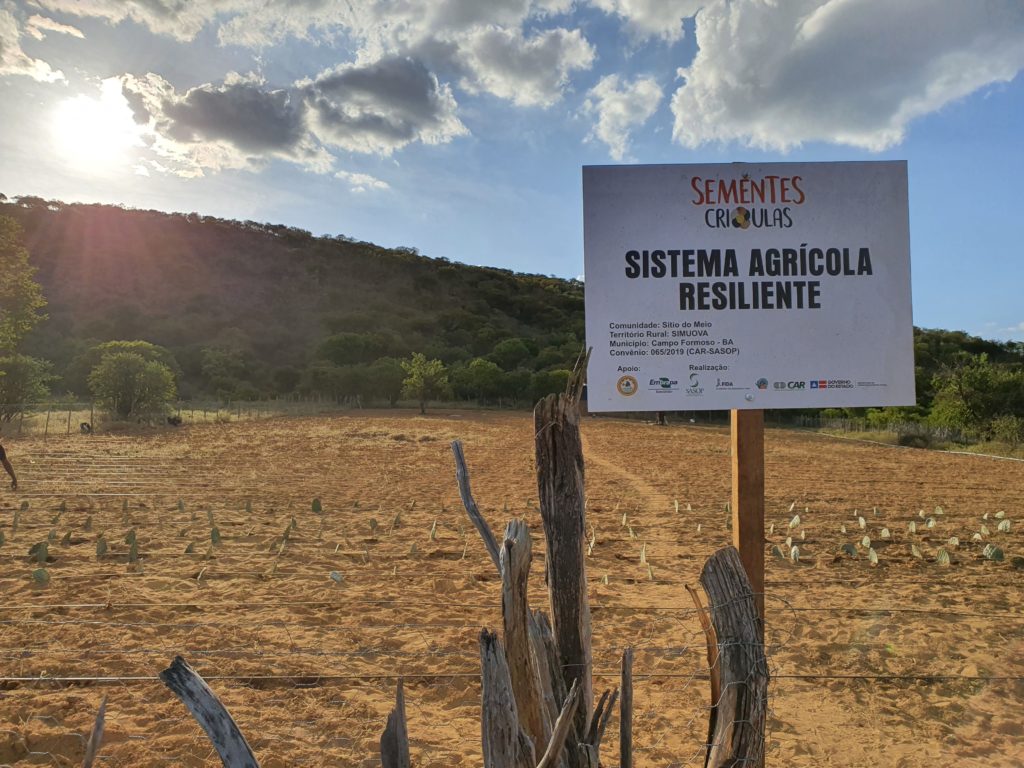 Projeto Sementes Crioulas conclui implantação de três sistemas agrícolas resilientes em sua primeira fase