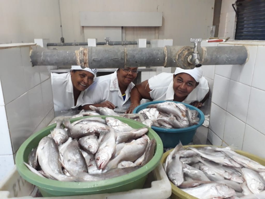 A importância da pesca artesanal para as mulheres no interior da Bahia