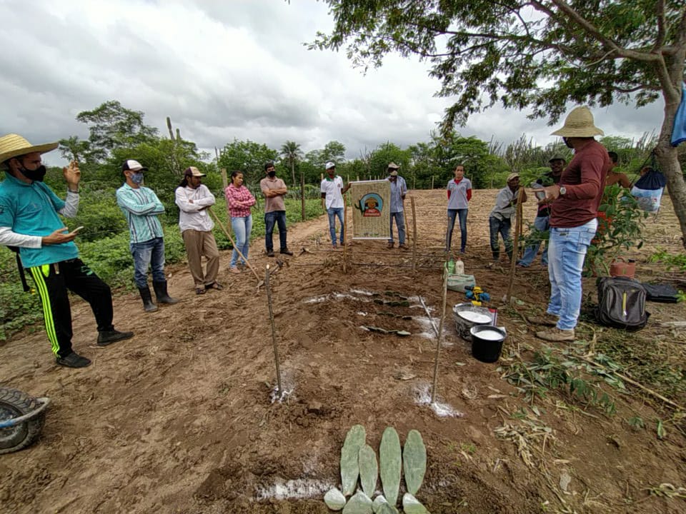 Implementação de Sistemas Agrícolas Resilientes e Canteiros da Agrobiodiversidade fazem a diferença no sertão baiano