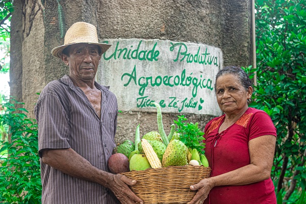 Rede Ater Nordeste de Agroecologia apresenta estudo inédito sobre os mercados territoriais que se contrapõem às grandes corporações do setor alimentício