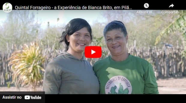Quintal Forrageiro – a Experiência de Bianca Brito, em Pilão Arcado-BA