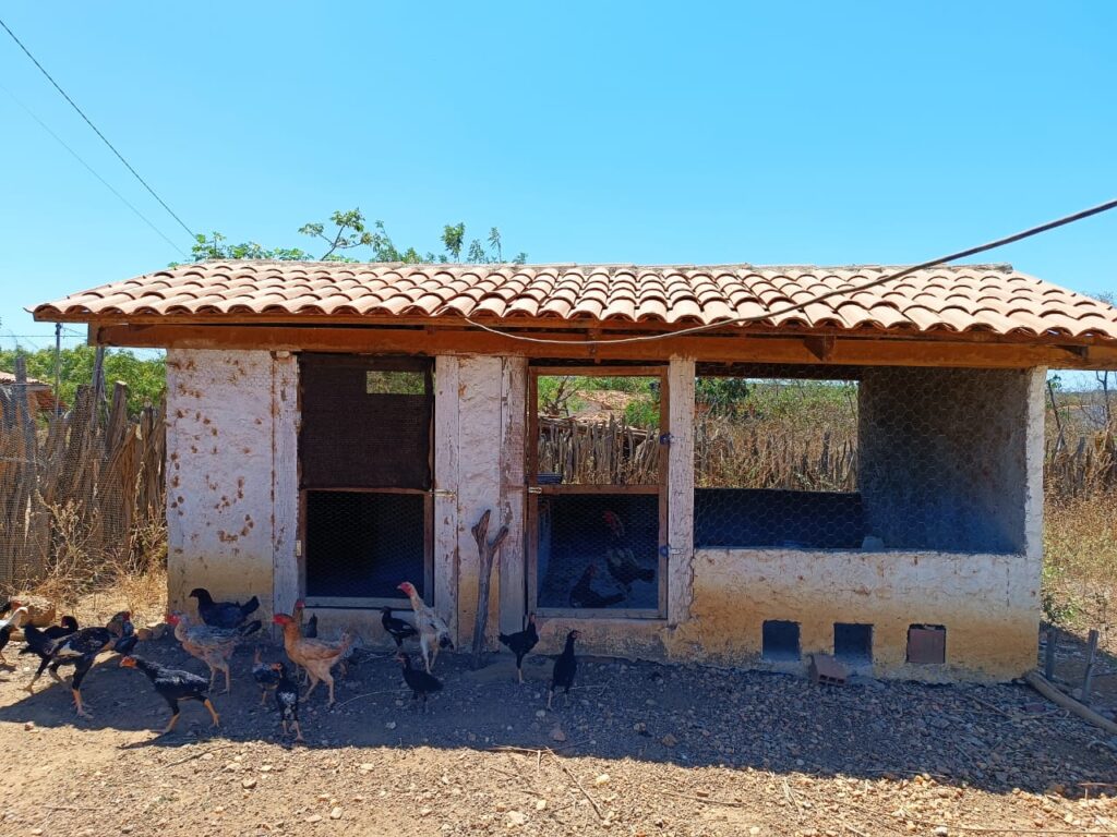 Dia da Avicultura: Inovações que Fortalecem Comunidades e Geram Renda