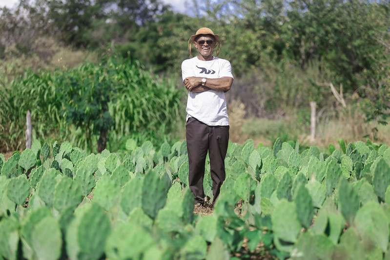 COMO REÚSO DA ÁGUA DO BANHEIRO E DA COZINHA MELHORA A PRODUÇÃO AGRÍCOLA E A SAÚDE DOS SERTANEJOS